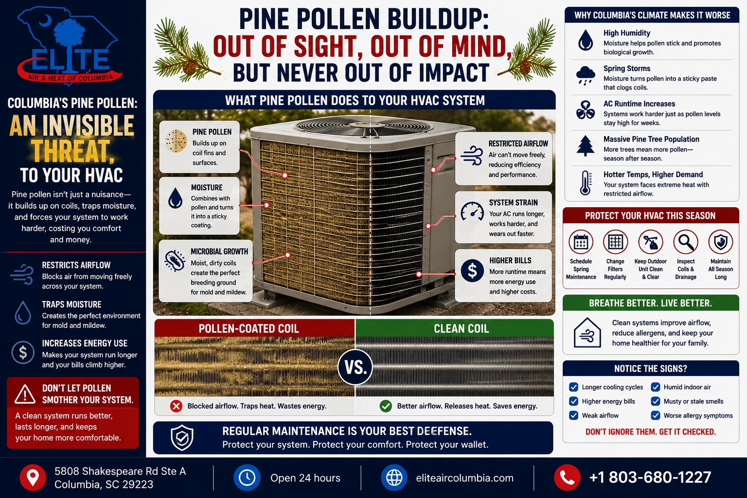 Pine pollen buildup out of site out of mind