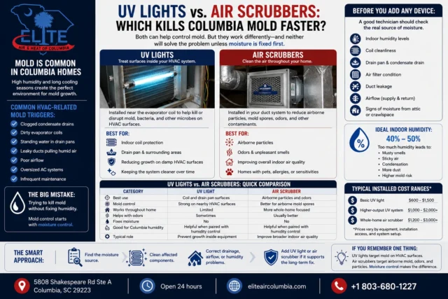 UV Lights vs. Air Scrubbers: Which Kills Columbia Mold Faster?